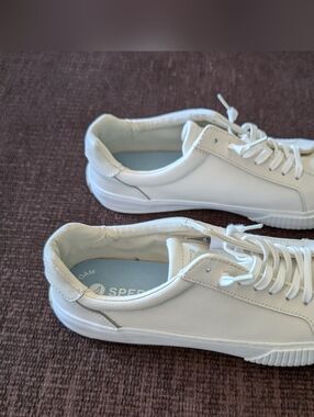Sperry White Low-Top Casual Sneakers